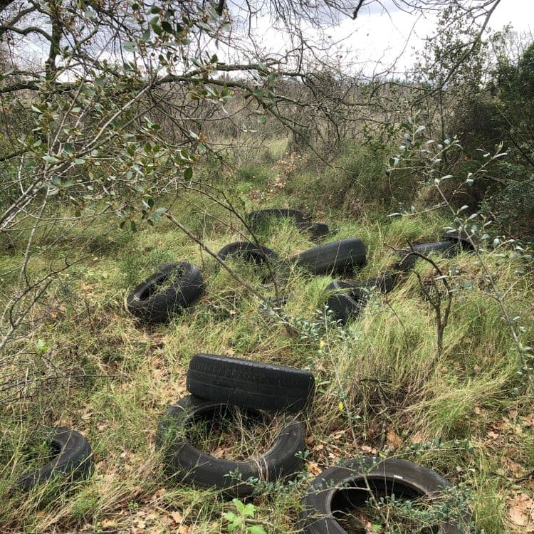 Une bonne quinzaine de pneu de voiture, avec d’autres un tout petit peu plus loin