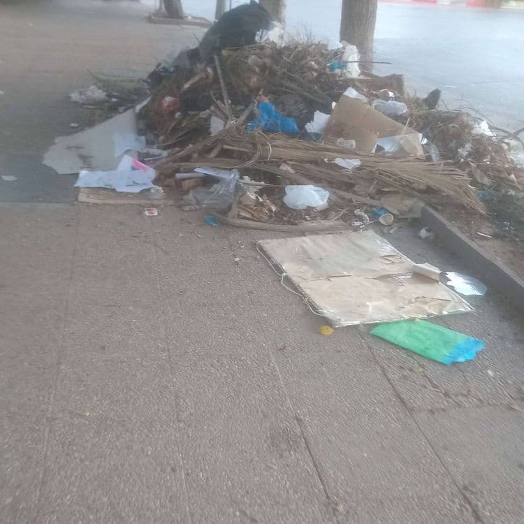 Déchets de jardin et papiers déposés sur le
trottoir