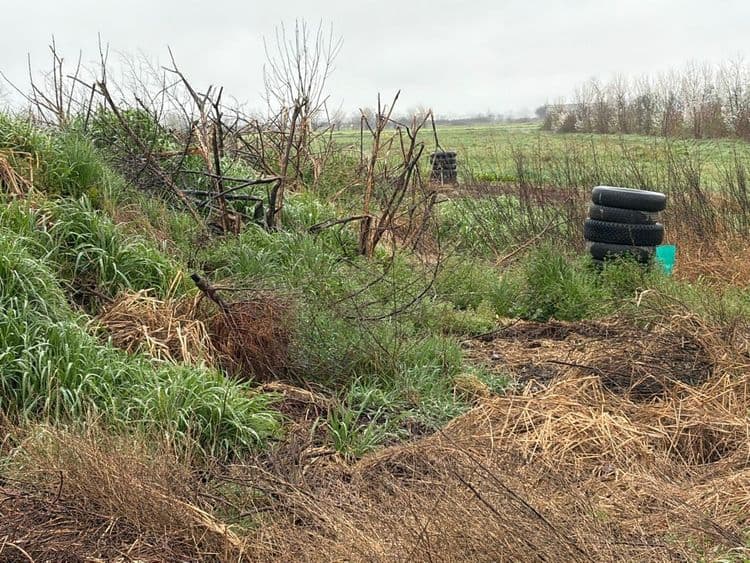 Suite à l'examen du site, voici l'inventaire des déchets présents :
Plusieurs monticules de déchets verts sont visibles, comprenant des branchages, des résidus de tonte, des feuilles mortes et diverses matières organiques en décomposition. Le volume total est conséquent, estimé à environ 500 kg.
Un dépôt de pneumatiques usagés est également présent. On dénombre approximativement 30 pneus de différentes tailles, ce qui représente un poids total d'environ 300 kg.
Enfin, des déchets divers sont dispersés sur le site, incluant des morceaux de bois, des débris de plastique et d'autres matériaux non identifiés. Le poids total de ces déchets est estimé à environ 50 kg.
le cadastre ZA85 fe la commune de Salles Adour 65401