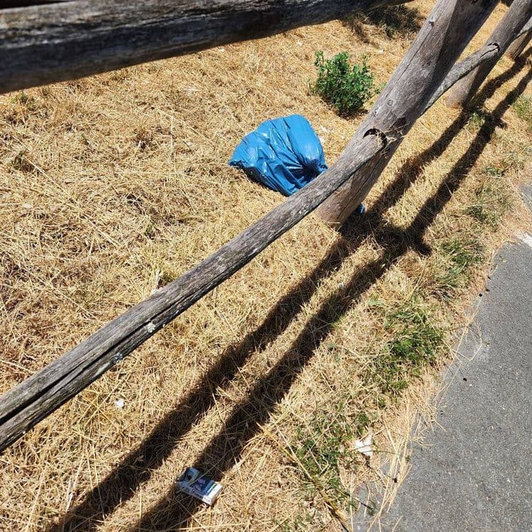 En l'absence de poubelles.!! Dépôts d'ordures ménagères